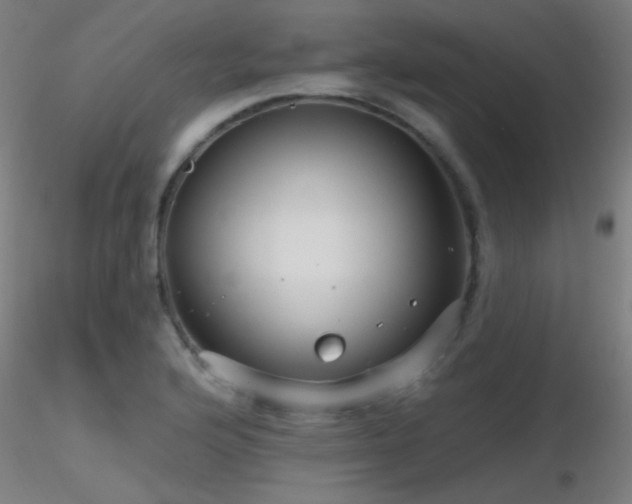 X0000116791176200912181247