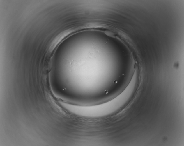 X0000116791177200912181247