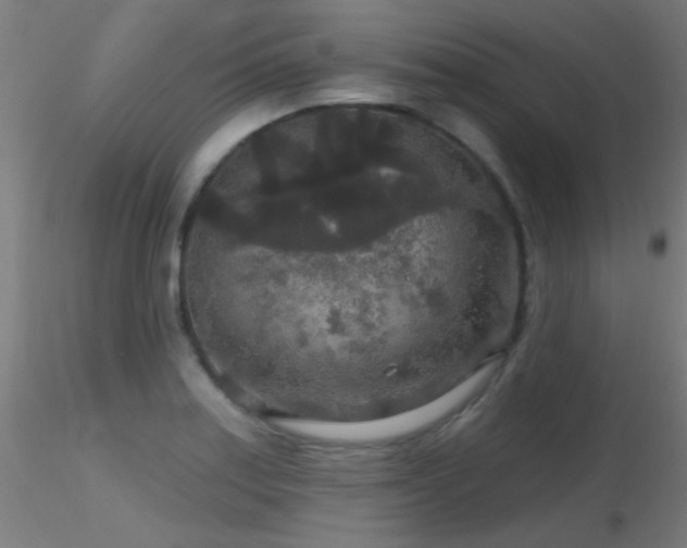 X0000116791179200912181247