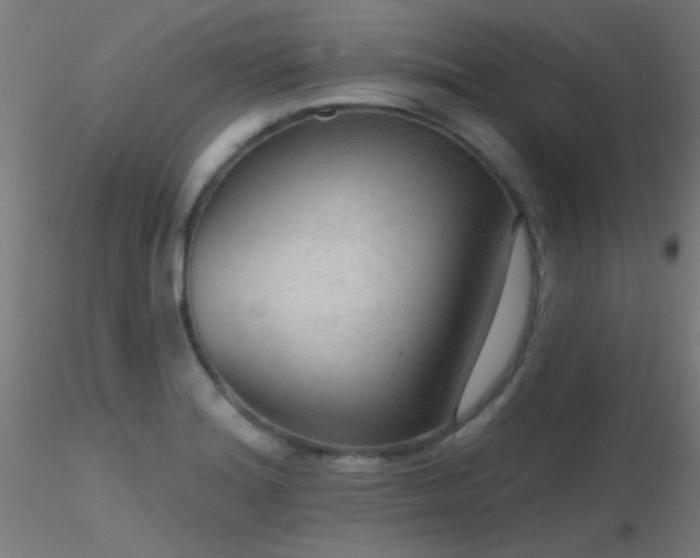 X0000116791180200912181247