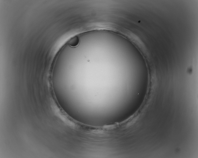 X0000116791182200912181247