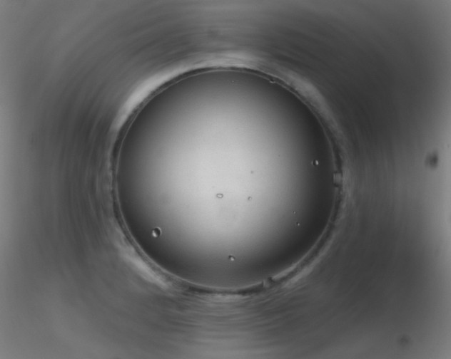 X0000116791184200912181247