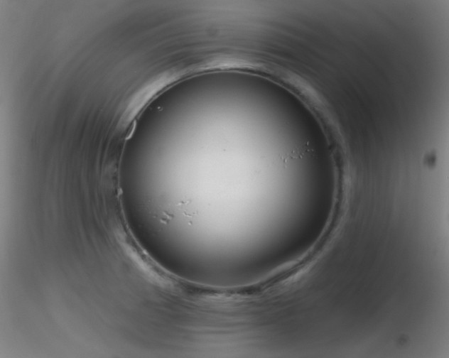 X0000116791185200912181247