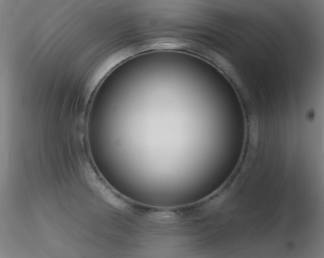 X0000116791186200912181247