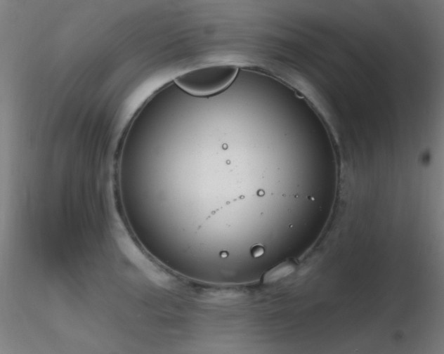 X0000116791187200912181247