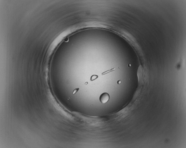 X0000116791188200912181247