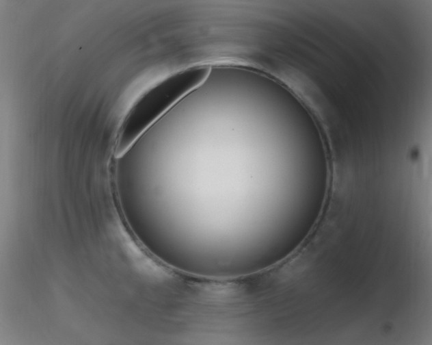 X0000116791189200912181246