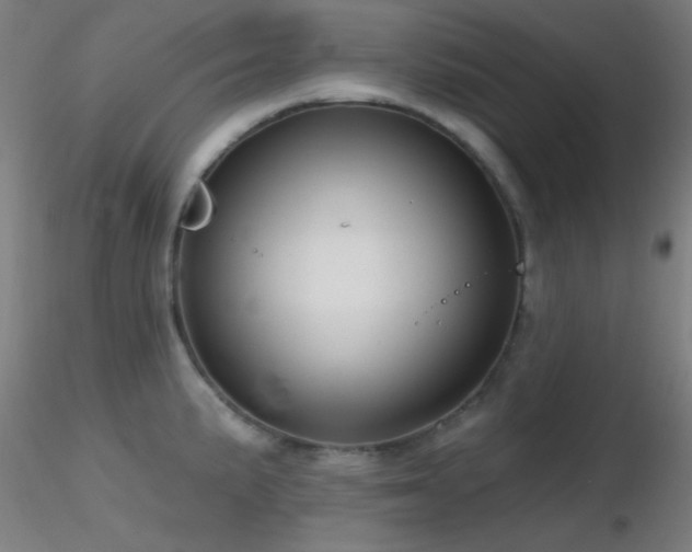 X0000116791191200912181246