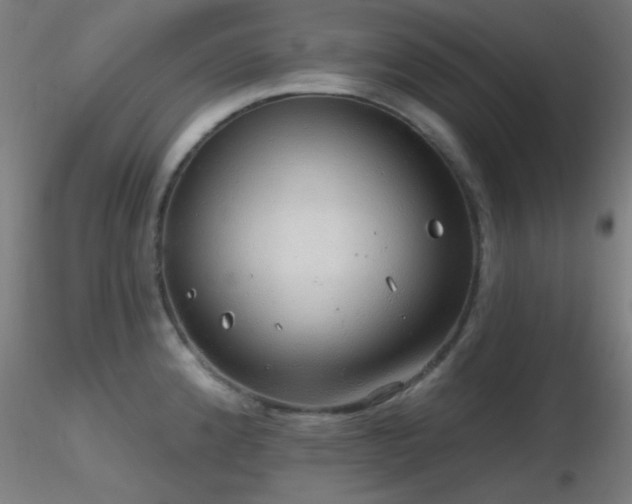 X0000116791192200912181246