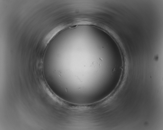 X0000116791193200912181246
