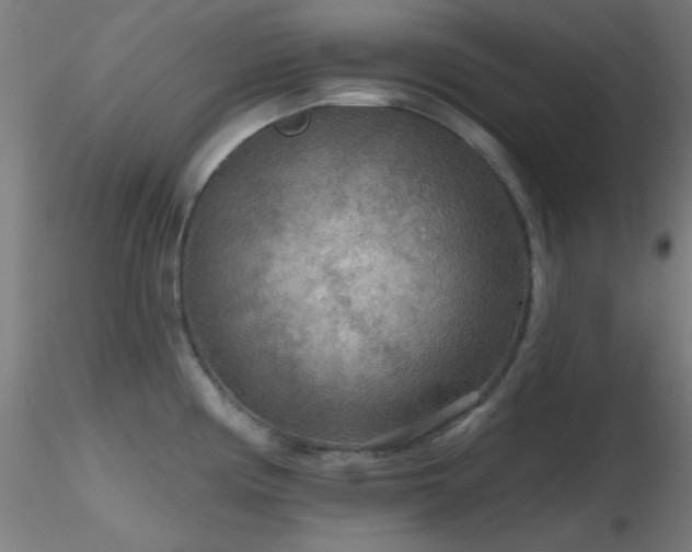 X0000116791194200912181246