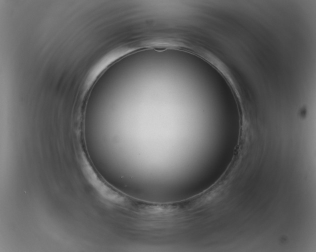X0000116791195200912181246