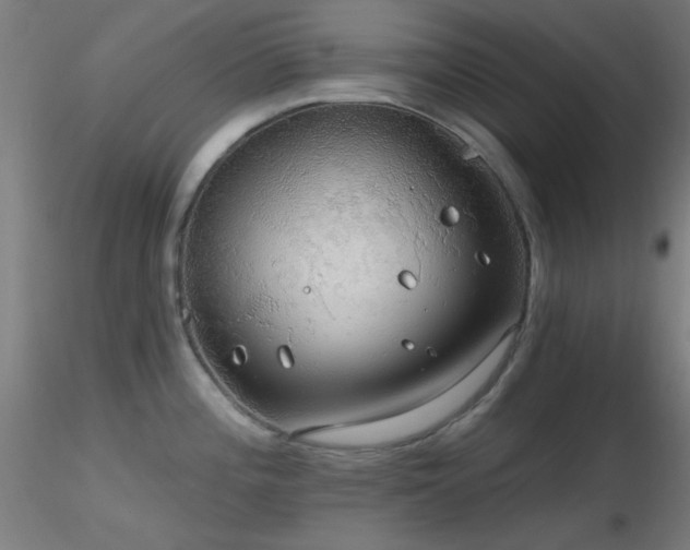 X0000116791196200912181246
