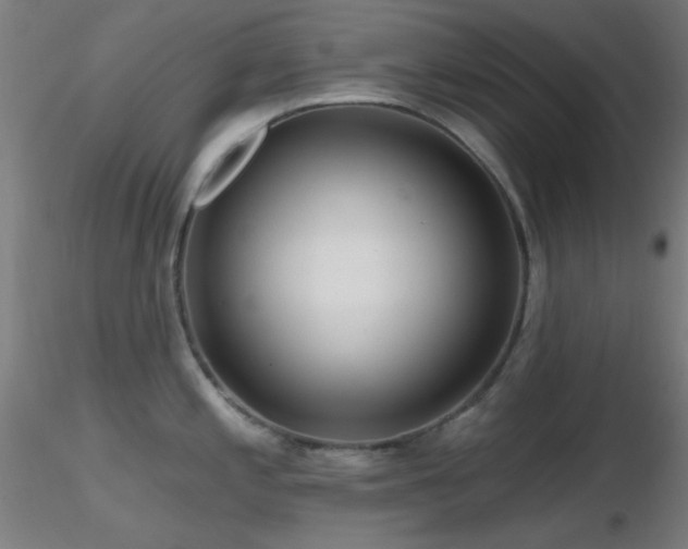 X0000116791197200912181246