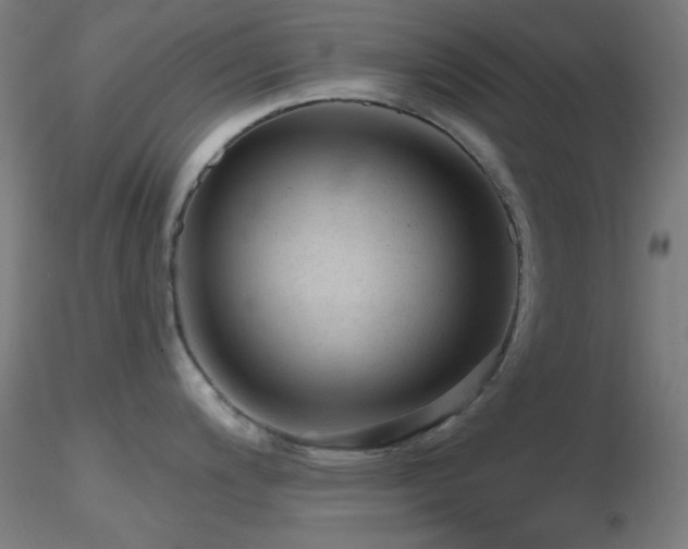 X0000116791200200912181246