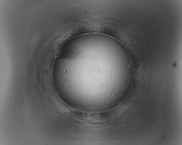X0000116791201200912181246