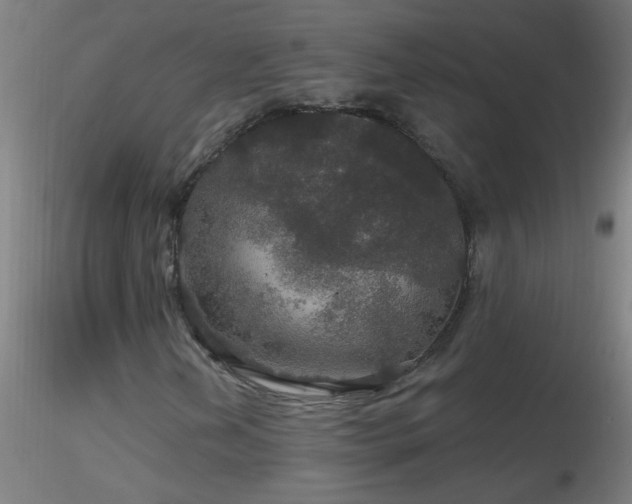 X0000116791202200912181246