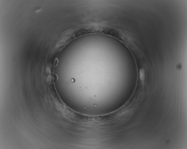 X0000116791203200912181246