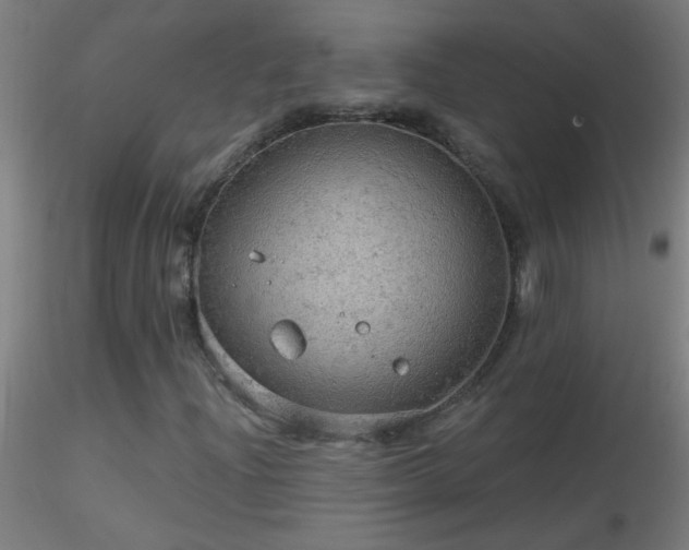 X0000116791204200912181246