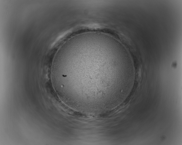 X0000116791205200912181246