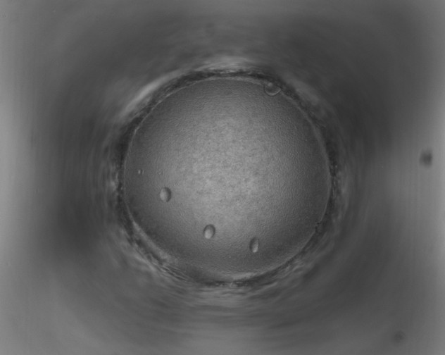 X0000116791206200912181246