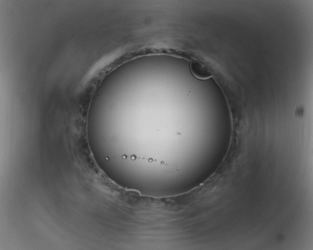 X0000116791207200912181246