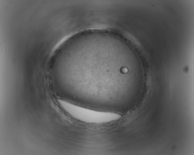 X0000116791208200912181246