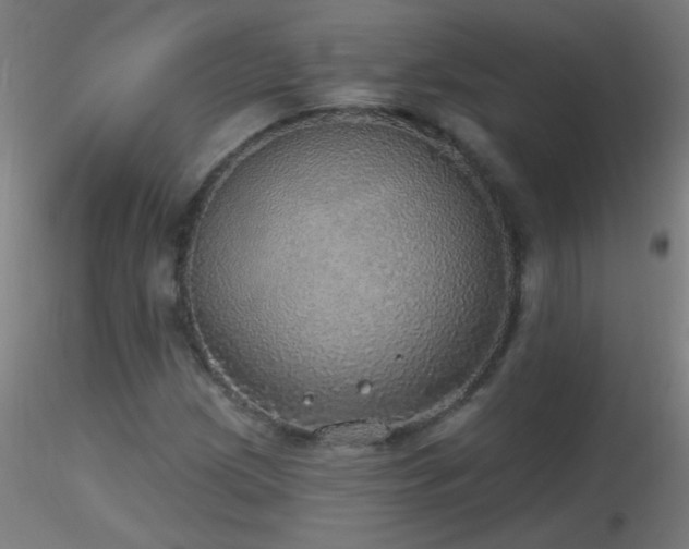 X0000116791209200912181246