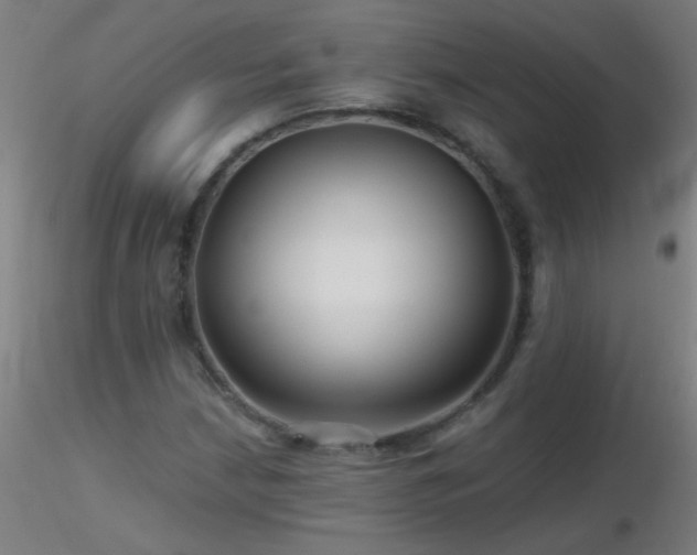 X0000116791210200912181246