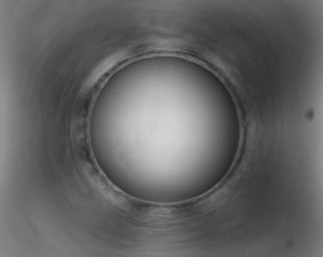 X0000116791211200912181246