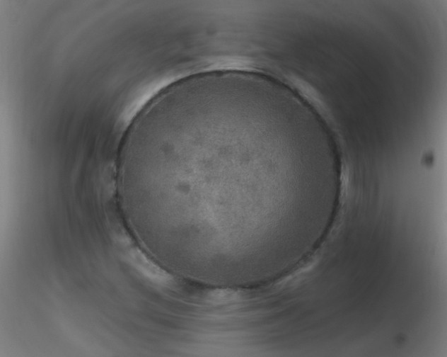 X0000116791212200912181246