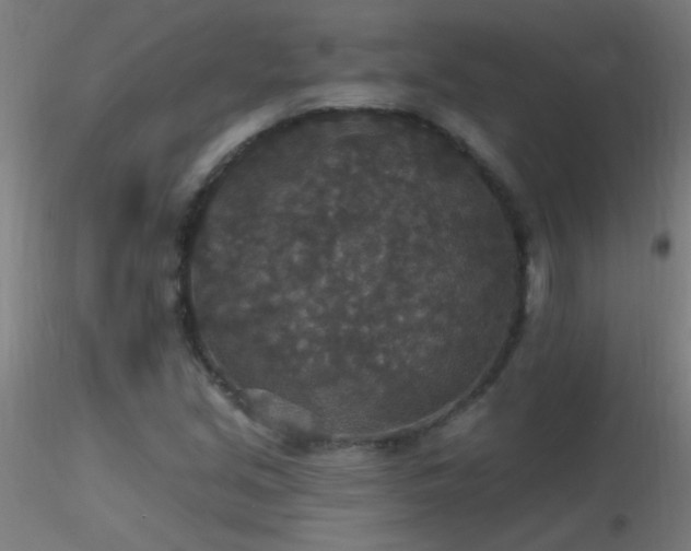 X0000116791213200912181246