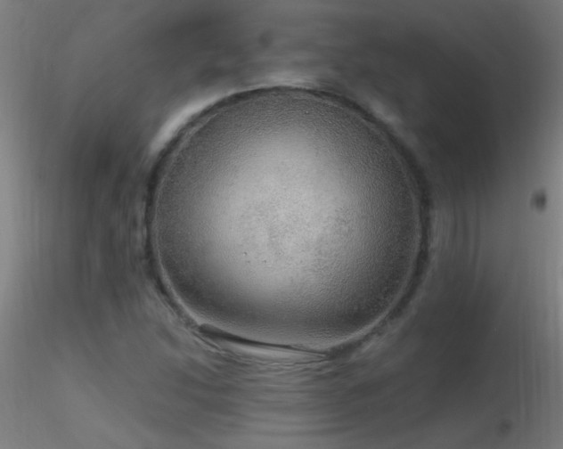 X0000116791214200912181246