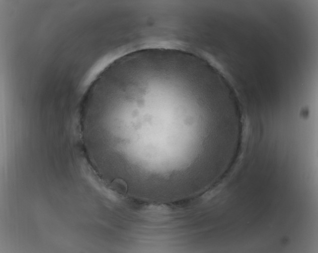 X0000116791215200912181246
