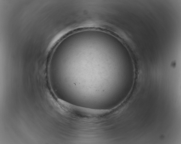 X0000116791216200912181246