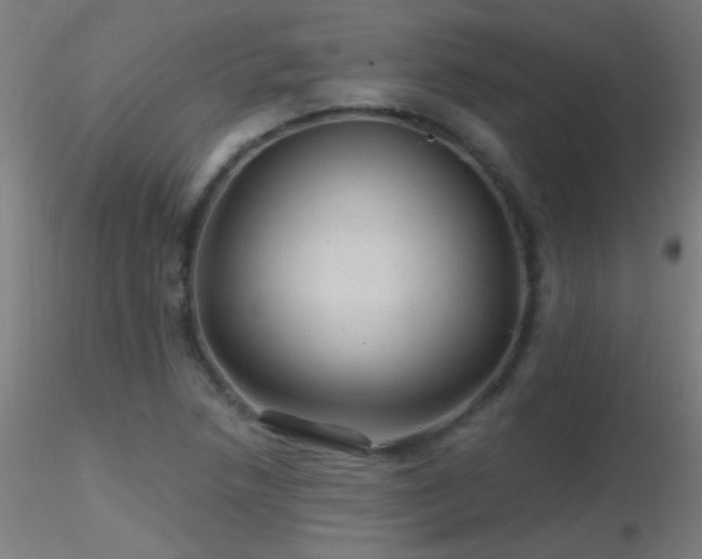 X0000116791218200912181246