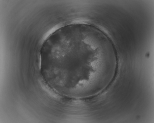 X0000116791219200912181246