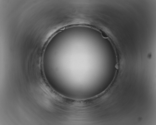 X0000116791220200912181246