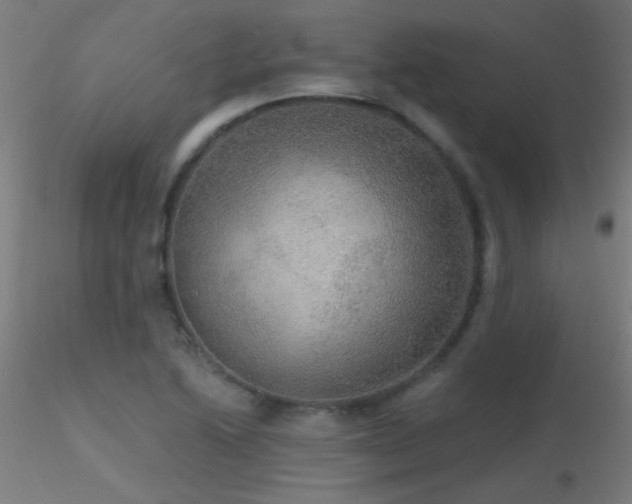 X0000116791222200912181246