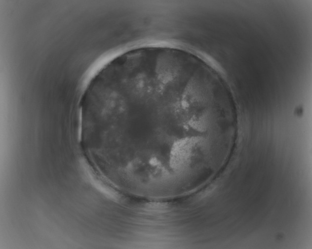 X0000116791223200912181246