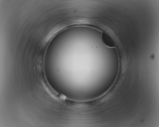 X0000116791225200912181246