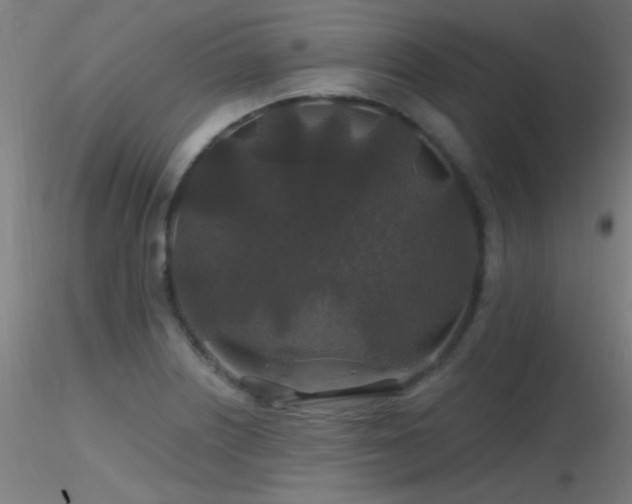 X0000116791226200912181246