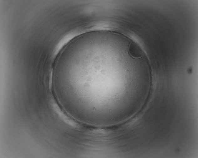 X0000116791227200912181246