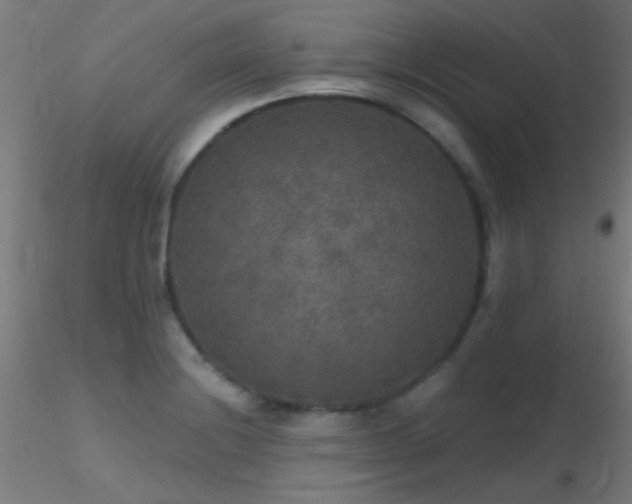X0000116791228200912181246