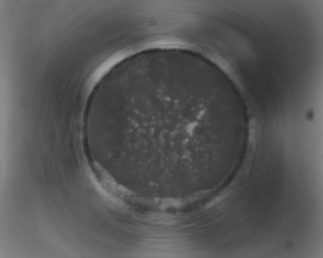 X0000116791229200912181246