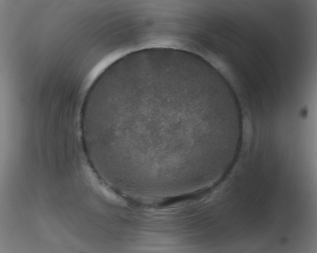 X0000116791230200912181246