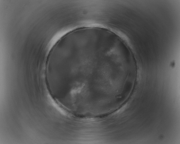 X0000116791231200912181246