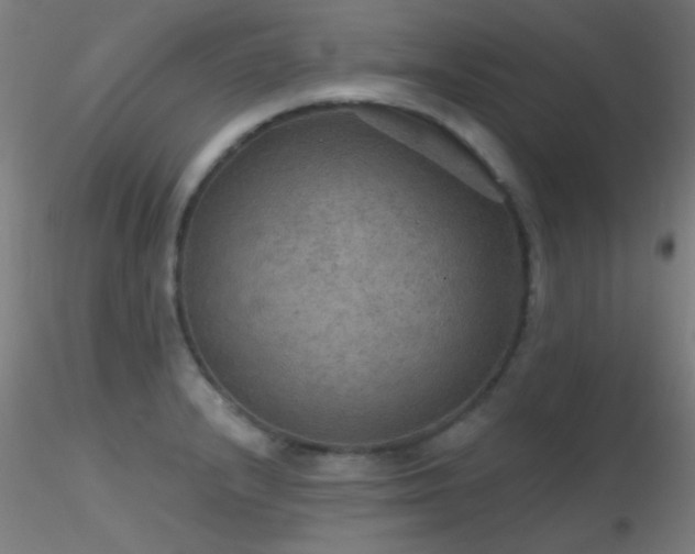 X0000116791232200912181246