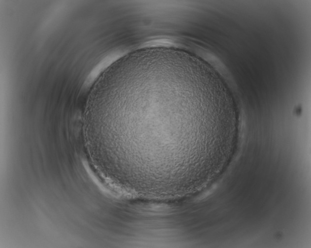 X0000116791233200912181246