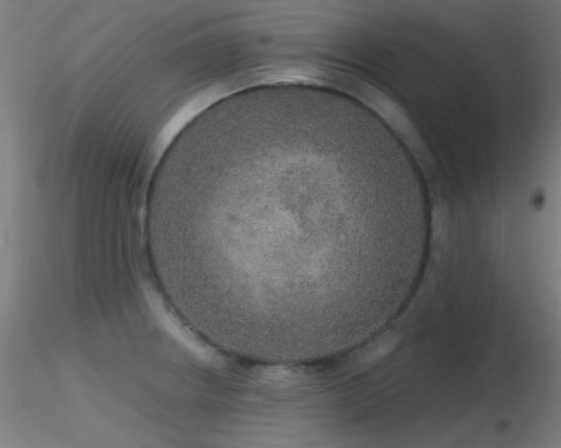 X0000116791234200912181246